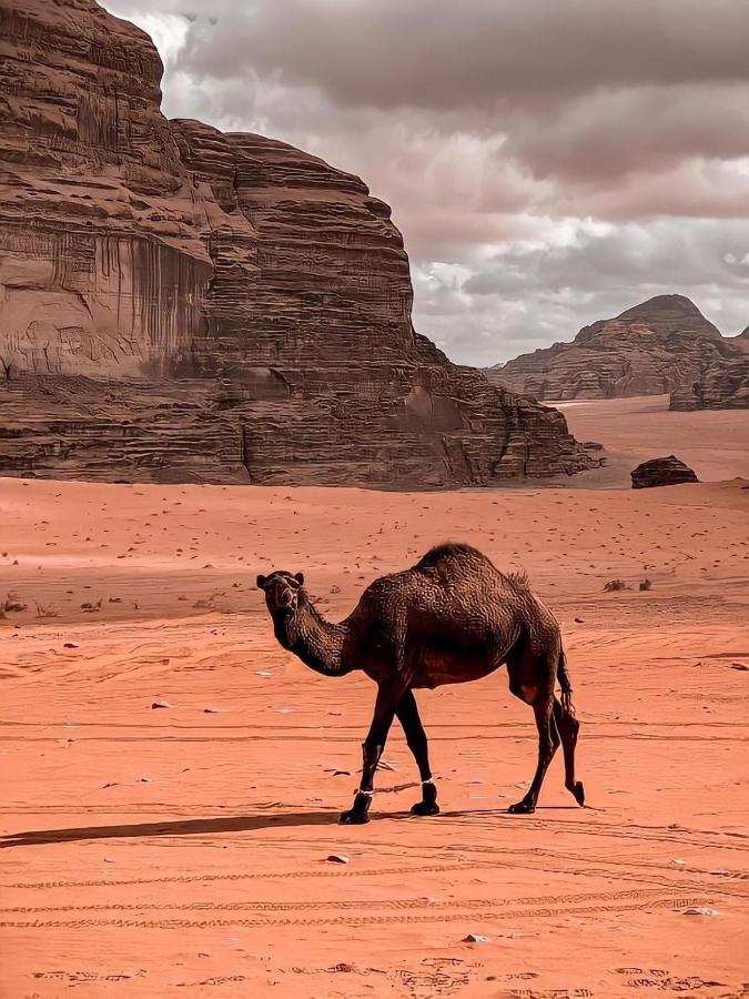 Rum Paradise Luxuri Camp Wadi Rum Extérieur photo
